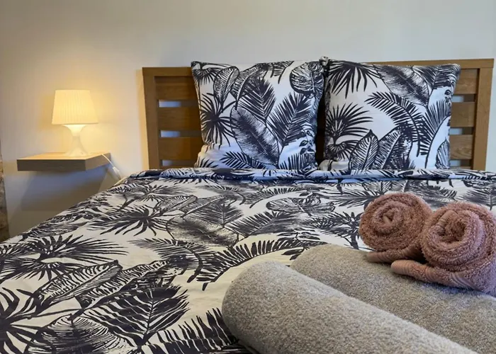 Cosy Avec Fraicheur Et Confort 아파트 Lescure-dʼAlbigeois